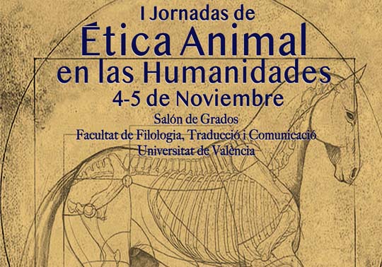 Image de la noticia